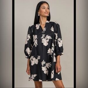 Entro Black and Cream Floral Dress